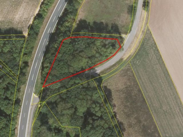 Lageskizze - Gehölzfläche an einem Radweg nördlich von Oberlauringen