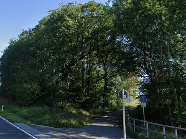 Blick auf Verkaufsfläche und Umgebung - Gehölzfläche an einem Radweg nördlich von Oberlauringen