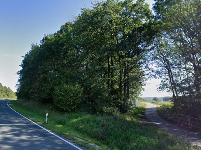 Blick auf Verkaufsfläche und Umgebung - Gehölzfläche an einem Radweg nördlich von Oberlauringen