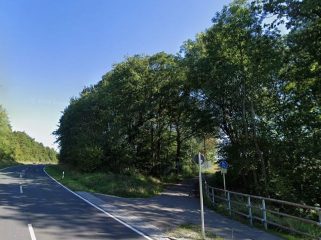 Blick auf Verkaufsfläche und Umgebung - Gehölzfläche an einem Radweg nördlich von Oberlauringen