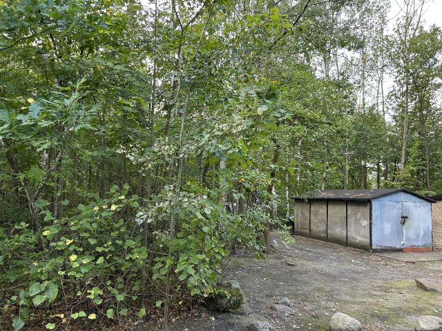 Blick auf Verkaufsgegenstand - Innenbereichsgrundstück mit Garage in ruhiger Wohnlage im Lausitzer Seenland