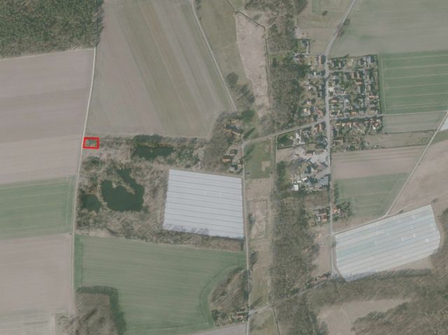Lage des Verkaufsgegenstandes - Vertragsfreie Waldfläche 