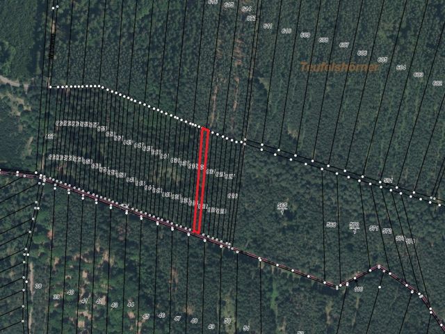 Umgebungsskizze - Waldstreifen zwischen Greifswald und Wolgast kurz vor der Insel Usedom