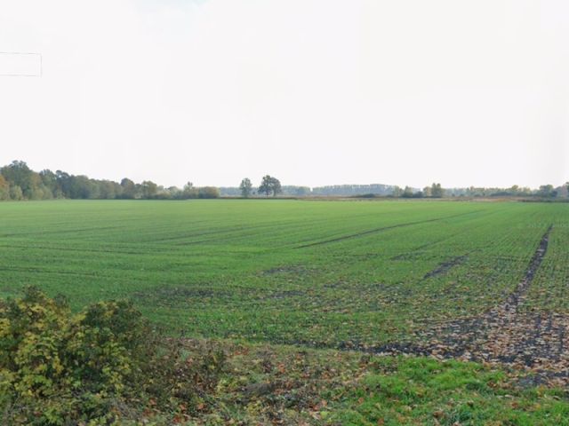 Blick auf die Umgebung Richtung Verkaufsfläche - Kleine Landwirtschaftsfläche im Havelland