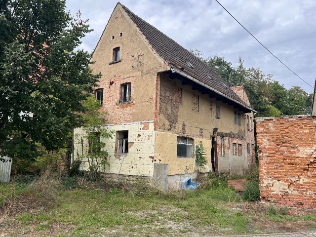 Blick auf das Verkaufsobjekt - Ruinöses Wohnhaus mit ehemaliger Garage nahe der B180 & unweit der Landesgrenze zu Thüringen