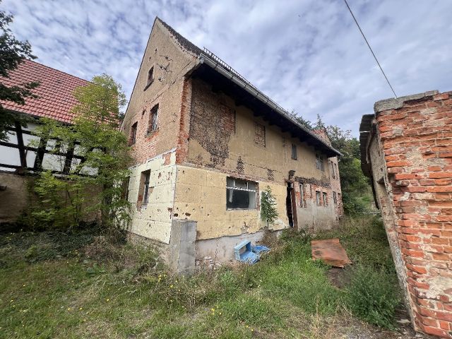 Blick auf das Verkaufsobjekt und Umgebung - Ruinöses Wohnhaus mit ehemaliger Garage nahe der B180 & unweit der Landesgrenze zu Thüringen