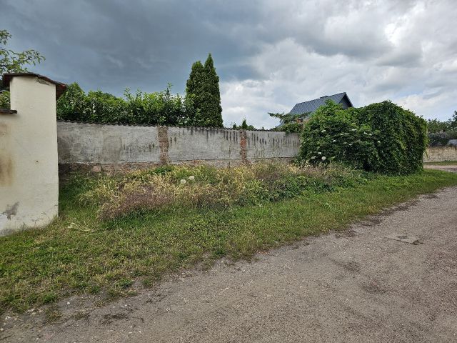 Blick auf das Flurstück 23/30 - Grünfläche mit kleinem Gebäude - Ehemaliges Wohnhaus **nördlich von Halle (Saale) & etwa 5 km vom Seebad Edderitz entfernt**