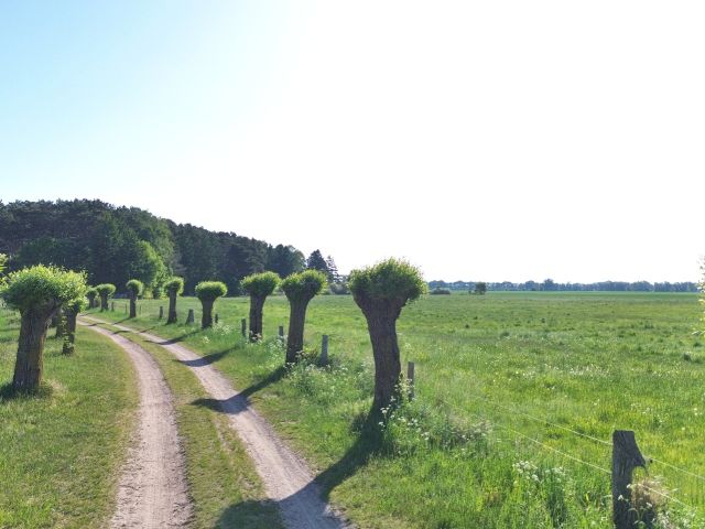 Zuwegung - Verpachtetes Grundstück (bis 30.09.2027) auf der Insel Usedom ++unweit der Insel Rohrplan & in direkter Nähe zum Hafen Zecherin+