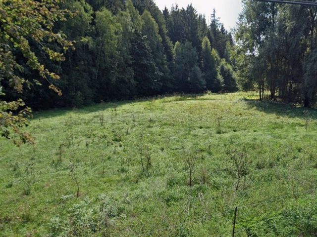 Blick von der Alten Treuener Straße Richtung Verkaufsgegenstand und auf die Umgebung - Grünlandfläche im Vogtland