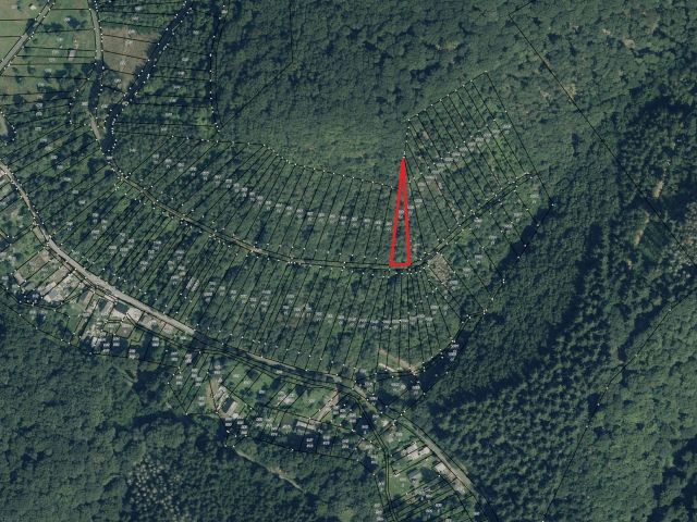 Lageskizze mit Umgebung und Luftbildunterlegung - Vertragsfreie Waldfläche (ehemaliger Weinberg) **im Moseltal & nahe des ´Neefer Baches´**