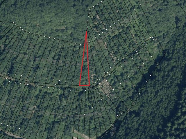 Lageskizze mit Luftbildunterlegung - Vertragsfreie Waldfläche (ehemaliger Weinberg) **im Moseltal & nahe des ´Neefer Baches´**