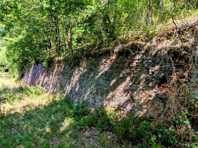 Verkaufsfläche mit Weinbergmauer - Vertragsfreie Waldfläche (ehemaliger Weinberg) **im Moseltal & nahe des ´Neefer Baches´**