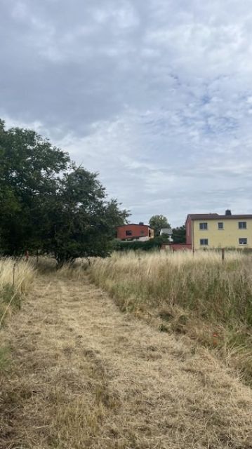 Blick Richtung Osten - Mit Bäumen bewachsene Kleinfläche **vertragsfrei**