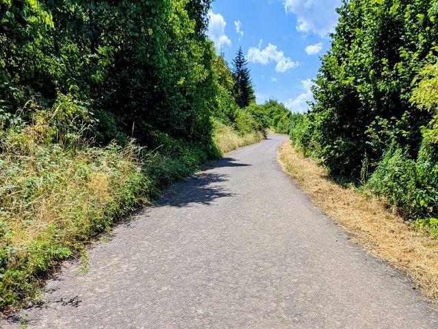 Weg vor dem Grundstück - Vertragsfreie Waldflächen in der Weinlage ´Neefer Petersberg´++oberhalb der Mosel & teilweise mit Blick auf die Mosel++