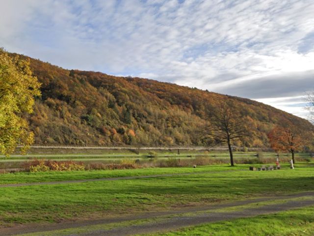 Blick Richtung Verkaufsflächen und Umgebung - Vertragsfreie Waldflächen in der Weinlage ´Neefer Petersberg´++oberhalb der Mosel & teilweise mit Blick auf die Mosel++