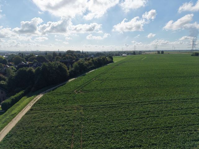 Blick Richtung Verkaufsfläche und auf die Umgebung - Ackerfläche am Ortsrand von Koslar ca. 50 km von Köln entfernt