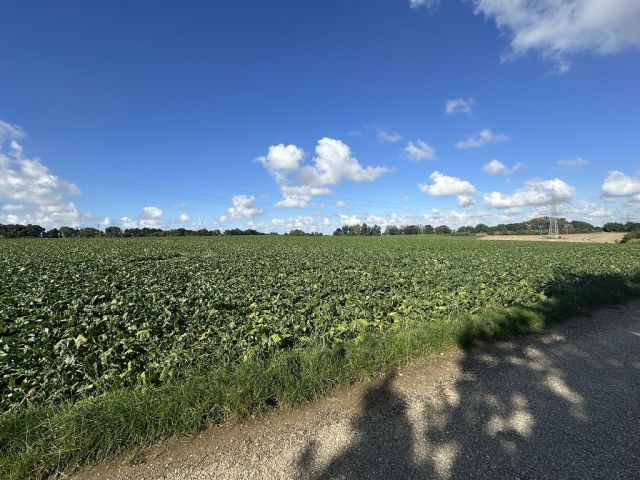 Blick auf Verkaufsfläche und Umgebung - Ackerfläche am Ortsrand von Koslar ca. 50 km von Köln entfernt