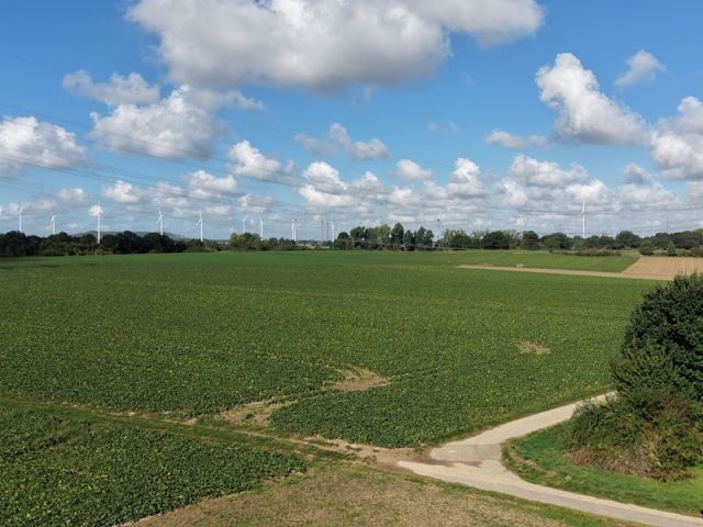 Blick auf Verkaufsfläche und Umgebung - Ackerfläche am Ortsrand von Koslar ca. 50 km von Köln entfernt