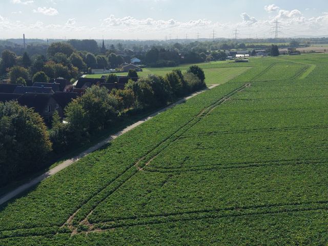 Blick auf Verkaufsfläche und Umgebung - Ackerfläche gegenüber von Wohnbebauung ca. 50 km von Köln entfernt
