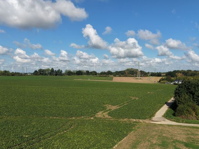 Blick auf Verkaufsfläche und Umgebung - Ackerfläche gegenüber von Wohnbebauung ca. 50 km von Köln entfernt