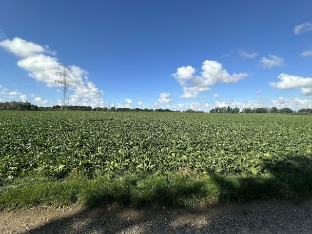 Blick auf Verkaufsfläche und Umgebung - Ackerfläche gegenüber von Wohnbebauung ca. 50 km von Köln entfernt