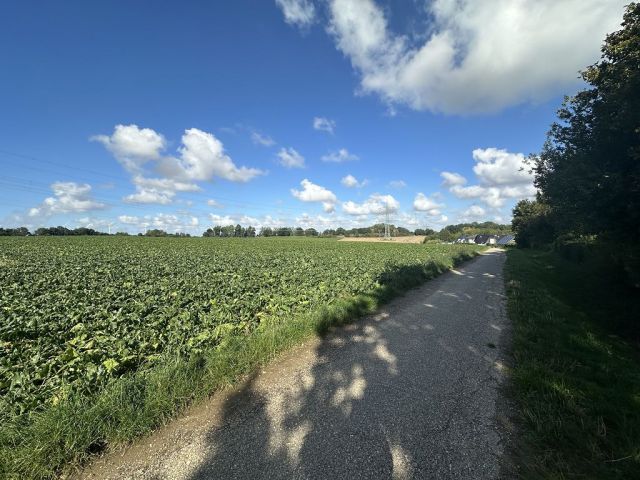 Blick auf Verkaufsfläche, Zuwegung und Umgebung - Ackerfläche gegenüber von Wohnbebauung ca. 50 km von Köln entfernt