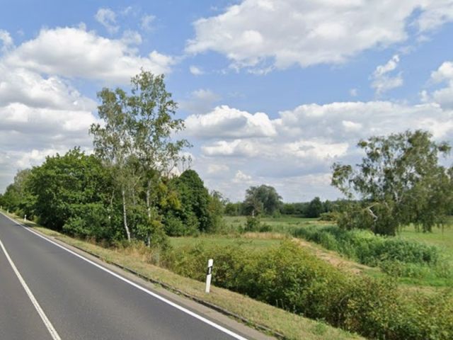 Blick auf Umgebung Richtung Verkaufsfläche - Vertragsfreie Grünlandfläche teilweise mit Gehölzbewuchs in Angermünde