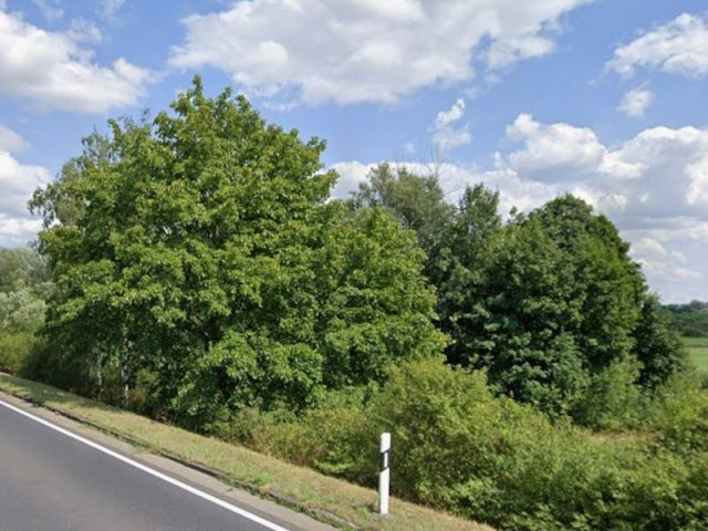 Blick auf Umgebung und Verkaufsfläche - Vertragsfreie Grünlandfläche teilweise mit Gehölzbewuchs in Angermünde