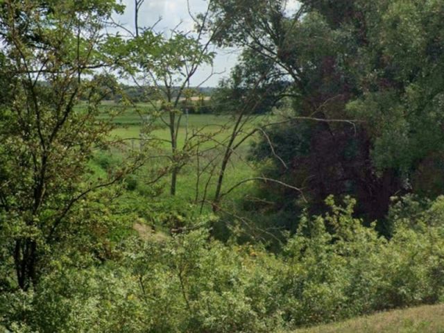 Blick auf Verkaufsfläche und Umgebung - Vertragsfreie Grünlandfläche teilweise mit Gehölzbewuchs in Angermünde