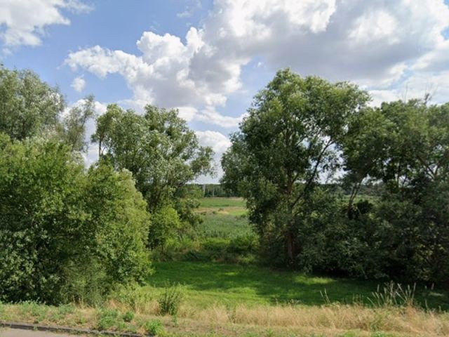 Blick auf Verkaufsfläche und Umgebung - Vertragsfreie Grünlandfläche teilweise mit Gehölzbewuchs in Angermünde