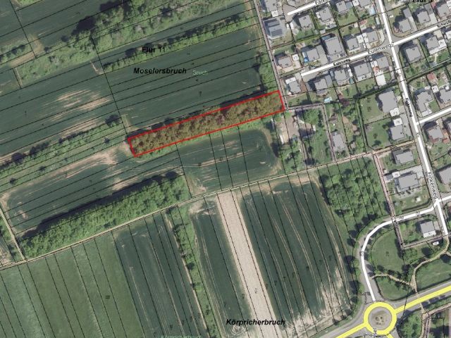 Umgebungsskizze - Gehölzfläche neben Wohnbebauung im Landkreis Saarlouis