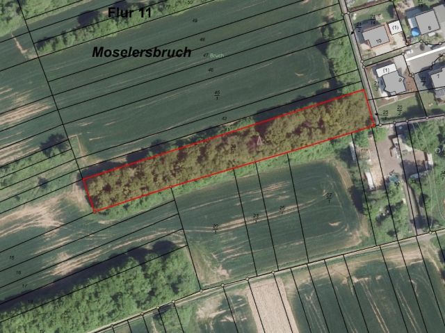 Lageskizze - Gehölzfläche neben Wohnbebauung im Landkreis Saarlouis