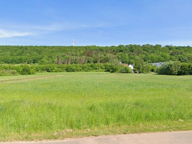 Blick von der L269 auf die Umgebung Richtung Verkaufsfläche - Gehölzfläche neben Wohnbebauung im Landkreis Saarlouis