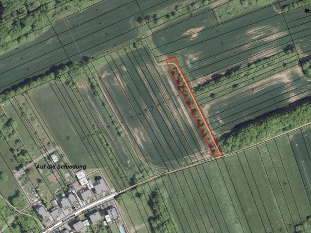 Umgebungsskizze - Gehölzstreifen im Landkreis Saarlouis