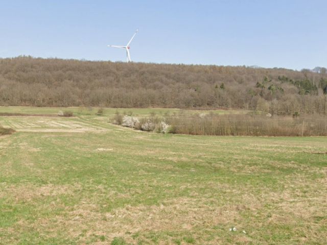 Blick von der L269 auf die Umgebung Richtung Verkaufsfläche - Gehölzstreifen im Landkreis Saarlouis