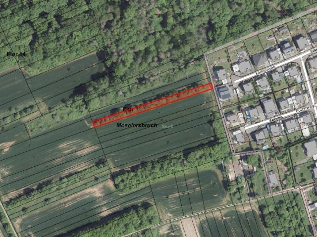 Umgebungsskizze - Gehölzfläche neben Wohnbebauung im Landkreis Saarlouis