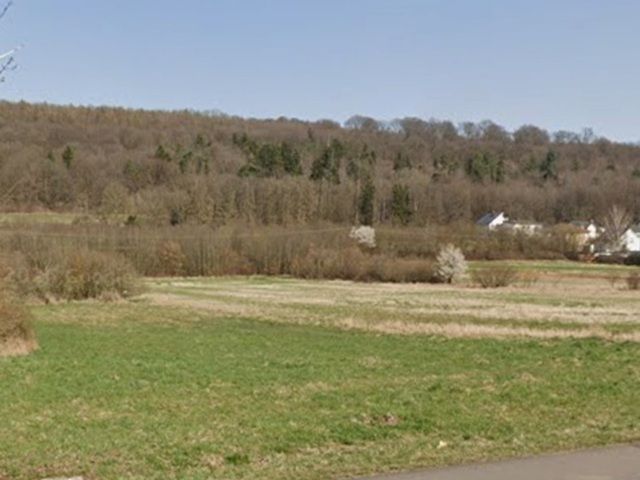 Blick von der L269 auf die Umgebung Richtung Verkaufsfläche - Gehölzfläche neben Wohnbebauung im Landkreis Saarlouis