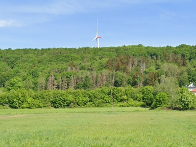 Blick von der L269 auf die Umgebung Richtung Verkaufsfläche - Gehölzfläche neben Wohnbebauung im Landkreis Saarlouis