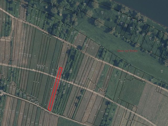 Umgebungsskizze - Weinberg mit den Rebsorten ´Spätburgunder´ und ´Dornfelder´ im Bereich ´Kloster Stuben´ *direkt vom Weinbauern*