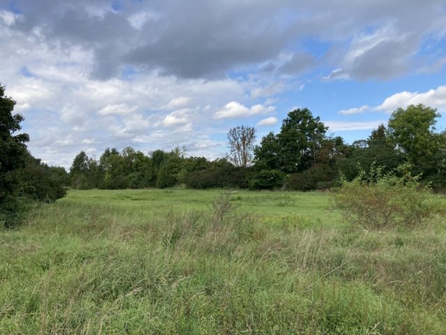Blick Richtung Verkaufsfläche und auf die Umgebung - Landwirtschaftsfläche hinter einer Kleingartenanlage südöstlich von Halle (Saale)