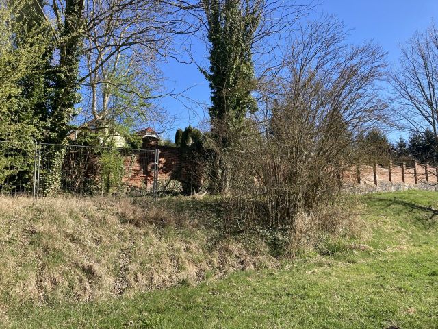 Blick auf Verkaufsfläche und Umgebung - Kleine Grün-/Gartenfläche in der historischen Parkanlage ´Apels Gut´ des Rittergutes Ermlitz