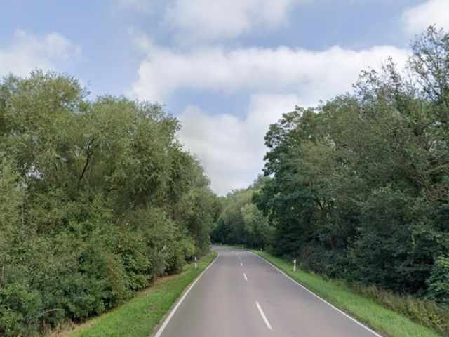 Blick auf L184 mit den Verkaufsflächen - Straßenbegleitende, überwiegend mit Gehölzen bewachsene Flächen an der L184