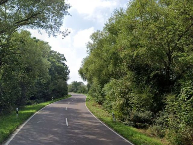 Blick auf L184 mit den Verkaufsflächen - Straßenbegleitende, überwiegend mit Gehölzen bewachsene Flächen an der L184