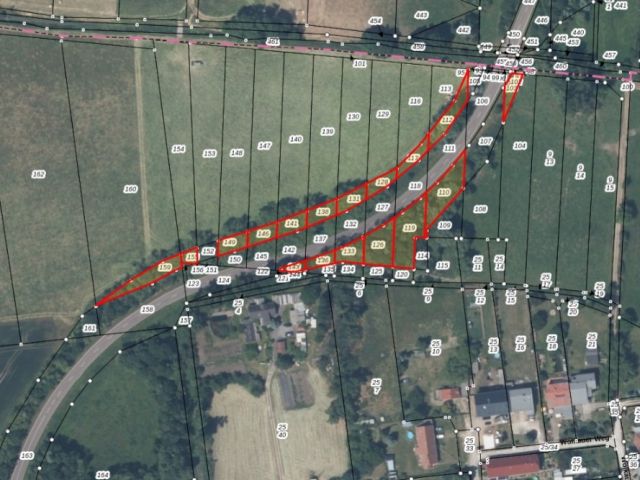 Lageskizze - Straßenbegleitende, überwiegend mit Gehölzen bewachsene Flächen an der L184