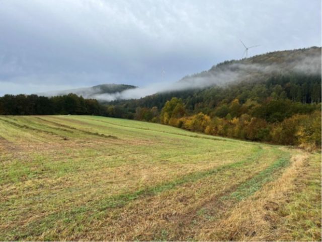 Blick auf die größere Landwirtschaftsfläche mit den Verkaufsflurstücken - Drei landwirtschaftliche Splitterflächen an der B270 in der Südwestpfalz