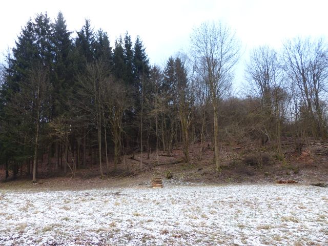 Blick vom Flurstück 2202/6 in Richtung Flurstück 2202/3 und Umgebung - Vertragsfreie Grundstücke  **etwa 25 km vom Dreiländereck Rhön - Bayern-Hessen-Thüringen - entfernt**
