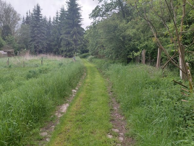 Blick auf die Verlängerung der Straße Meisterei und die Umgebung - Vertragsfreie naturbelassene Fläche zwischen Erholungsgrundstücken mit älterer Bebauung südwestlich der Burg Camburg