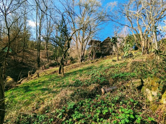 Blick in die Umgebung - Fläche für Freizeitgärten: Ufergrundstück am ´Heiligenbach´ neben Wohnbebauung in Stuttgart-Heumaden