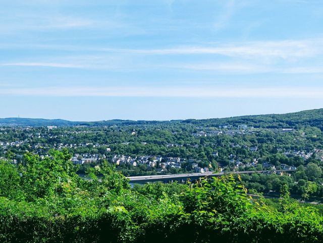 Umgebung - Vertragsfreie Waldfläche gegenüber der EPG-Arena ++etwa 5 km von der Koblenzer Altstadt & dem Schloss ´Martinsburg´ entfernt++