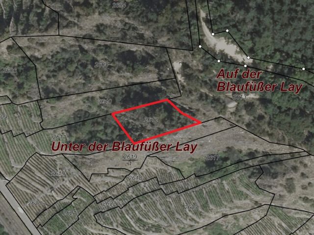 Lageskizze mit Luftbildunterlegung - Vertragsfreies Grundstück in der Weinlage ´Winningen-Uhlen´ **östlich der ´Mosel´ und nahe der Moseltalbrücke**